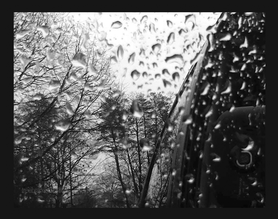 A Reflection on Rain with a Latte